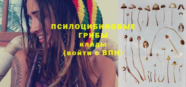 марки nbome Аркадак