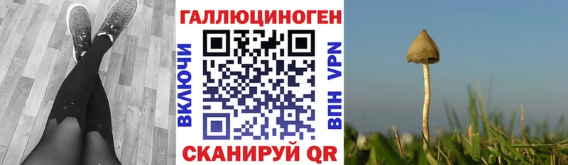 OMG ССЫЛКА  Белокуриха  Галлюциногенные грибы прущие грибы 